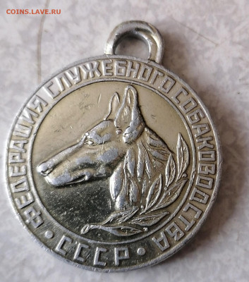 Жетон служебного собаководства 10.2.26 - IMG_20260205_114804