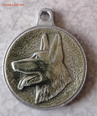 Жетон ДОСААФ служебное сабоководство 10.2.26 - IMG_20260205_114733