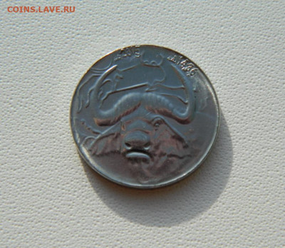 Алжир 1 динар 2015 г. (Фауна) С рубля! до 10.02.26 - DSCN0512.JPG