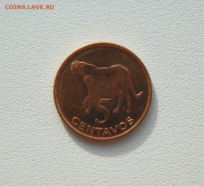 Мозамбик 5 сентаво 2006 г. (Фауна) С рубля! до 10.02.26 - DSCN0497.JPG