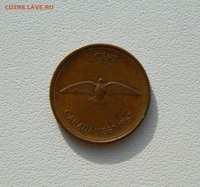 Канада 1 цент 1967г. (Юбилейная) Фауна С рубля! до 10.02.26 - DSCN0533.JPG