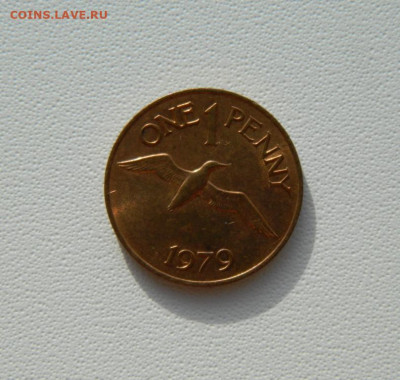 Остров Гернси 1 пенни 1979 г. (Фауна) С рубля! до 10.02.26 - DSCN0553.JPG