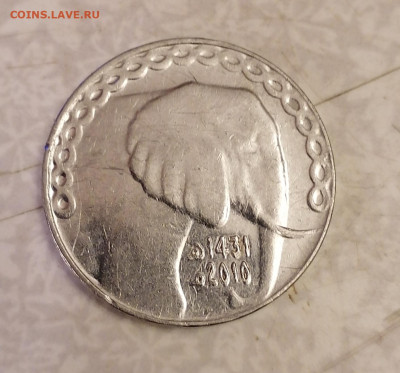 5 динар Алжир 10.2.26 - IMG_20260205_192814