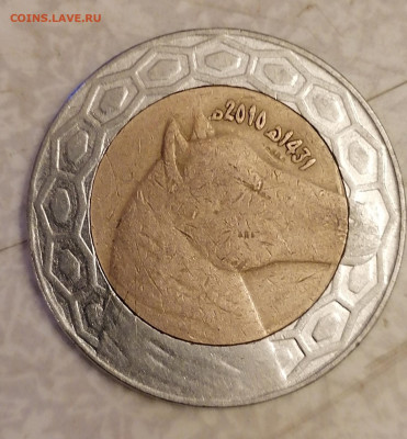 100динар Алжир 10.2.26 - IMG_20260205_190837