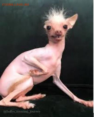 Игра "Смешная сказка"))) - Ню