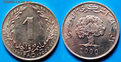 Тунис - 1 миллим 2000 года (ФАО) до 12.02 - Тунис 1 миллим, 2000  40