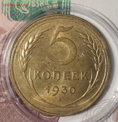 5-30, 50, 51 не очень частые на оценку-интерес - IMG_20260206_145957