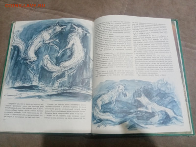 Медведи и другие хищные звери до 12.02.26 в 22:00 по мск - IMG_20260206_231059