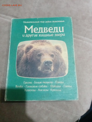 Медведи и другие хищные звери до 12.02.26 в 22:00 по мск - IMG_20260206_230940
