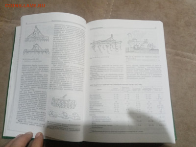 Овощеводство до 12.02.26 в 22:00 по мск - IMG_20260206_232134
