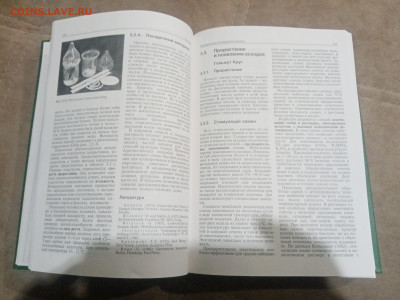 Овощеводство до 12.02.26 в 22:00 по мск - IMG_20260206_232123