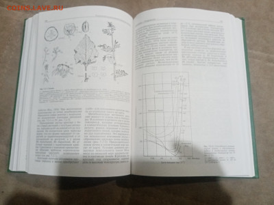 Овощеводство до 12.02.26 в 22:00 по мск - IMG_20260206_232025