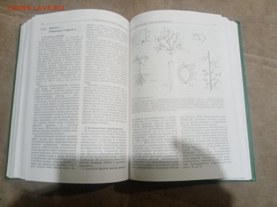 Овощеводство до 12.02.26 в 22:00 по мск - IMG_20260206_232015