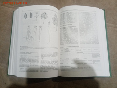 Овощеводство до 12.02.26 в 22:00 по мск - IMG_20260206_232006