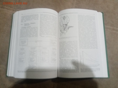 Овощеводство до 12.02.26 в 22:00 по мск - IMG_20260206_231956