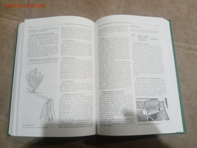 Овощеводство до 12.02.26 в 22:00 по мск - IMG_20260206_231946