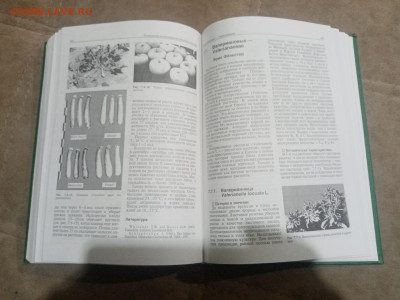 Овощеводство до 12.02.26 в 22:00 по мск - IMG_20260206_231936