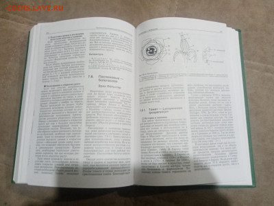 Овощеводство до 12.02.26 в 22:00 по мск - IMG_20260206_231927