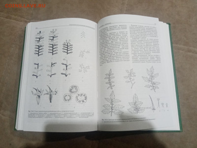 Овощеводство до 12.02.26 в 22:00 по мск - IMG_20260206_231917