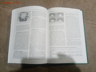 Овощеводство до 12.02.26 в 22:00 по мск - IMG_20260206_231907