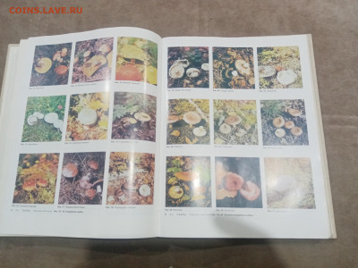 Краткая медицинская энциклопедия в 3х томах до 12.02.26 в 22 - IMG_20260207_004047