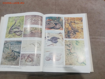 Краткая медицинская энциклопедия в 3х томах до 12.02.26 в 22 - IMG_20260207_004033