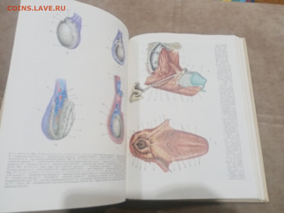 Краткая медицинская энциклопедия в 3х томах до 12.02.26 в 22 - IMG_20260207_003948