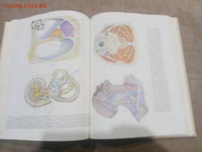 Краткая медицинская энциклопедия в 3х томах до 12.02.26 в 22 - IMG_20260207_003930