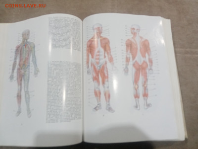 Краткая медицинская энциклопедия в 3х томах до 12.02.26 в 22 - IMG_20260207_003906