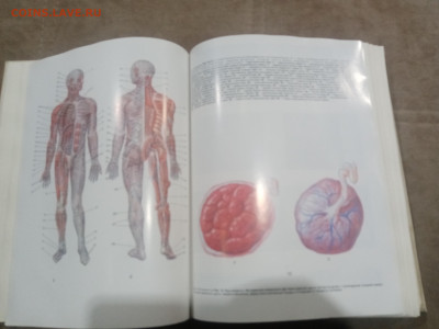 Краткая медицинская энциклопедия в 3х томах до 12.02.26 в 22 - IMG_20260207_003857