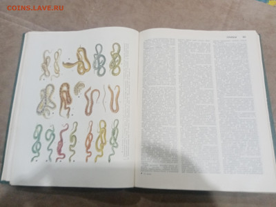 Популярная медицинская энциклопедия до 12.02.26 в 22:00 по м - IMG_20260207_005445