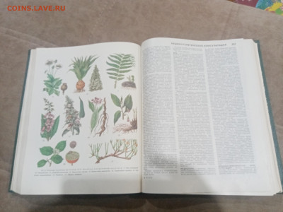 Популярная медицинская энциклопедия до 12.02.26 в 22:00 по м - IMG_20260207_005401