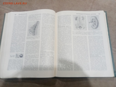 Популярная медицинская энциклопедия до 12.02.26 в 22:00 по м - IMG_20260207_005352