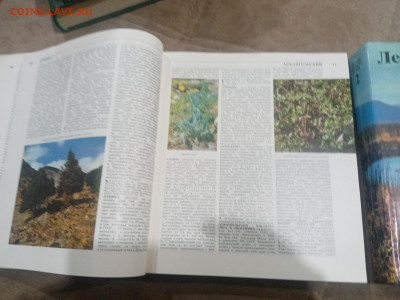 Лесная энциклопедия в 2х томах до 12.02.26 в 22:00 по мск - IMG_20260207_012050