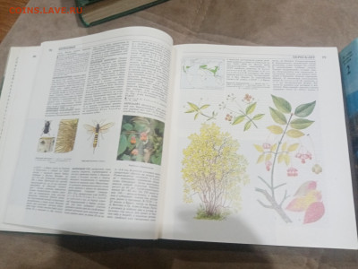 Лесная энциклопедия в 2х томах до 12.02.26 в 22:00 по мск - IMG_20260207_012040