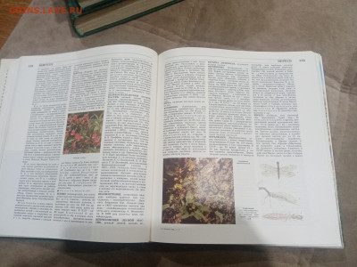 Лесная энциклопедия в 2х томах до 12.02.26 в 22:00 по мск - IMG_20260207_012017