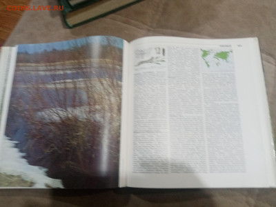 Лесная энциклопедия в 2х томах до 12.02.26 в 22:00 по мск - IMG_20260207_011955