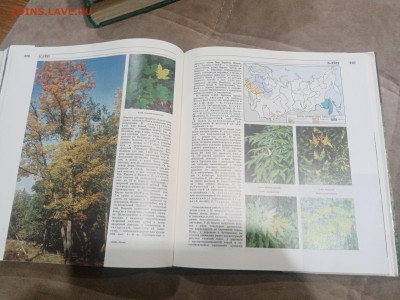 Лесная энциклопедия в 2х томах до 12.02.26 в 22:00 по мск - IMG_20260207_011932