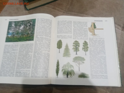 Лесная энциклопедия в 2х томах до 12.02.26 в 22:00 по мск - IMG_20260207_011922