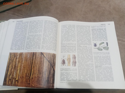 Лесная энциклопедия в 2х томах до 12.02.26 в 22:00 по мск - IMG_20260207_011903