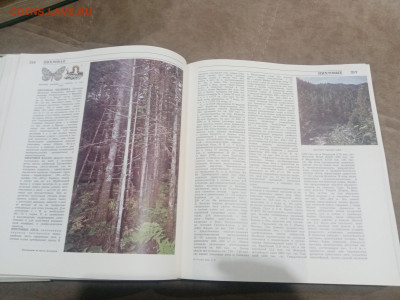 Лесная энциклопедия в 2х томах до 12.02.26 в 22:00 по мск - IMG_20260207_011853