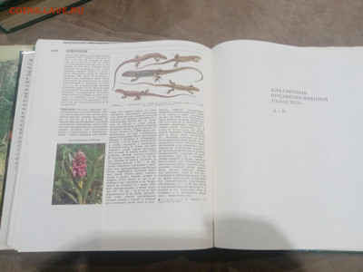 Лесная энциклопедия в 2х томах до 12.02.26 в 22:00 по мск - IMG_20260207_011739