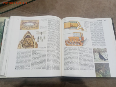 Лесная энциклопедия в 2х томах до 12.02.26 в 22:00 по мск - IMG_20260207_011837