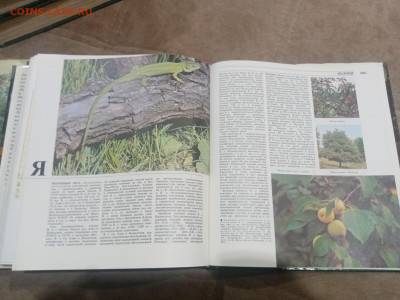 Лесная энциклопедия в 2х томах до 12.02.26 в 22:00 по мск - IMG_20260207_011731