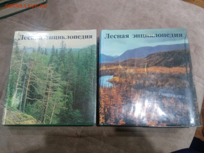 Лесная энциклопедия в 2х томах до 12.02.26 в 22:00 по мск - IMG_20260207_012112