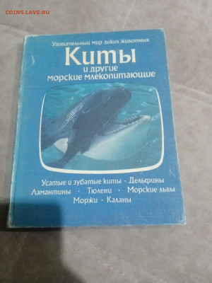 Киты и другие млекопитающие до 12.02.26 в 22:00 по мск - IMG_20260207_015642