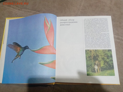 Животный мир земли до 12.02.26 в 22:00 по мск - IMG_20260207_020947