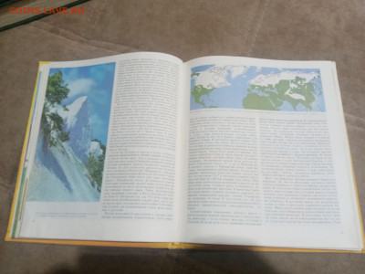 Животный мир земли до 12.02.26 в 22:00 по мск - IMG_20260207_020917