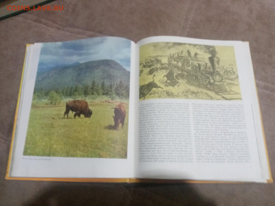 Животный мир земли до 12.02.26 в 22:00 по мск - IMG_20260207_020907