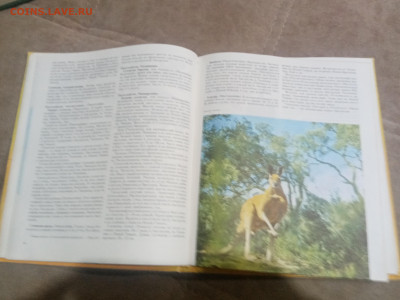 Животный мир земли до 12.02.26 в 22:00 по мск - IMG_20260207_020847